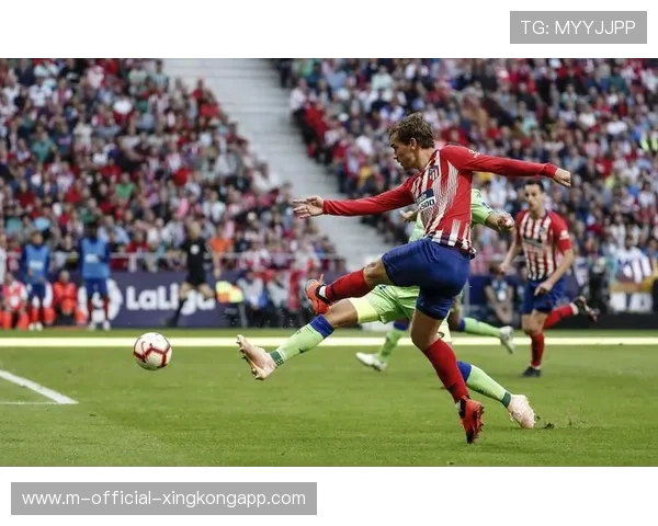 世界级中锋数据爆表，引多队报价风潮