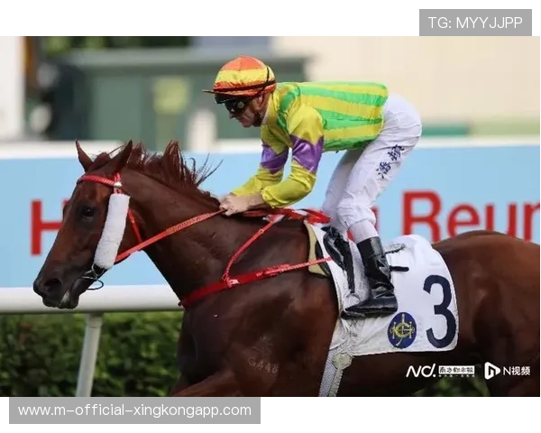 香港赛马会“五个联通”助粤港规则衔接,支援十五运会马术赛事 香港赛马会“五个联通”助粤港规则衔接,支援十五运会马术赛事