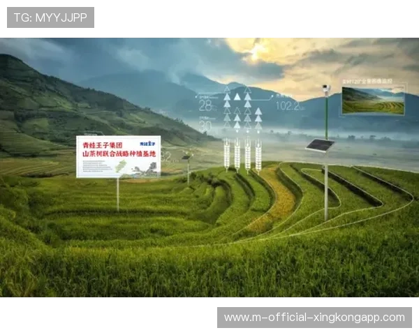 青少年“运动+创新+生态”融合发展的产业基地在多省全面铺开：开启成长与绿色创新的新征程