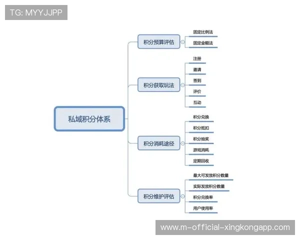 体育产业中通过会员积分与专属权益构建忠诚度粉丝系统